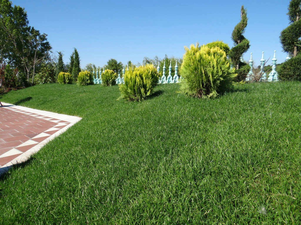 тревна смеска цена