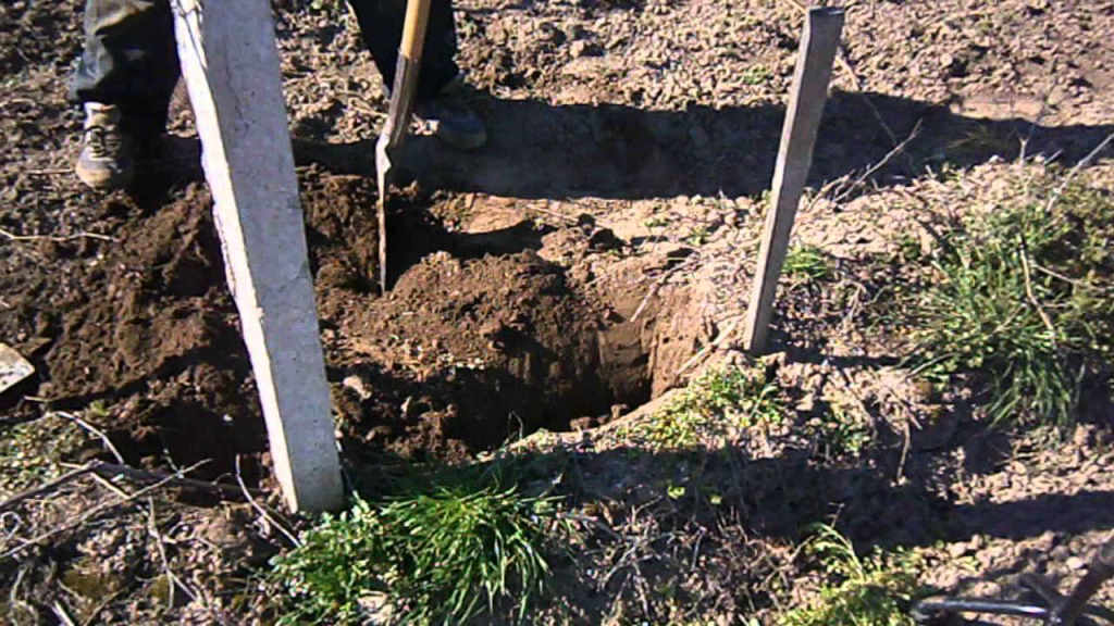 Рязане дървета - Почистване на дворни места храсти и др