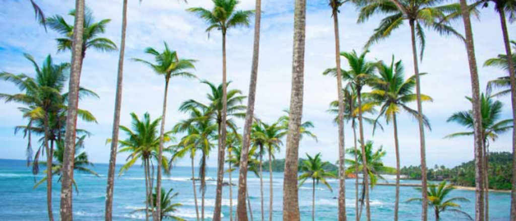 Екскурзия до Мексико