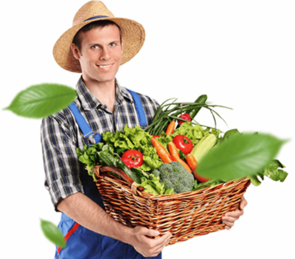 клетка за куче