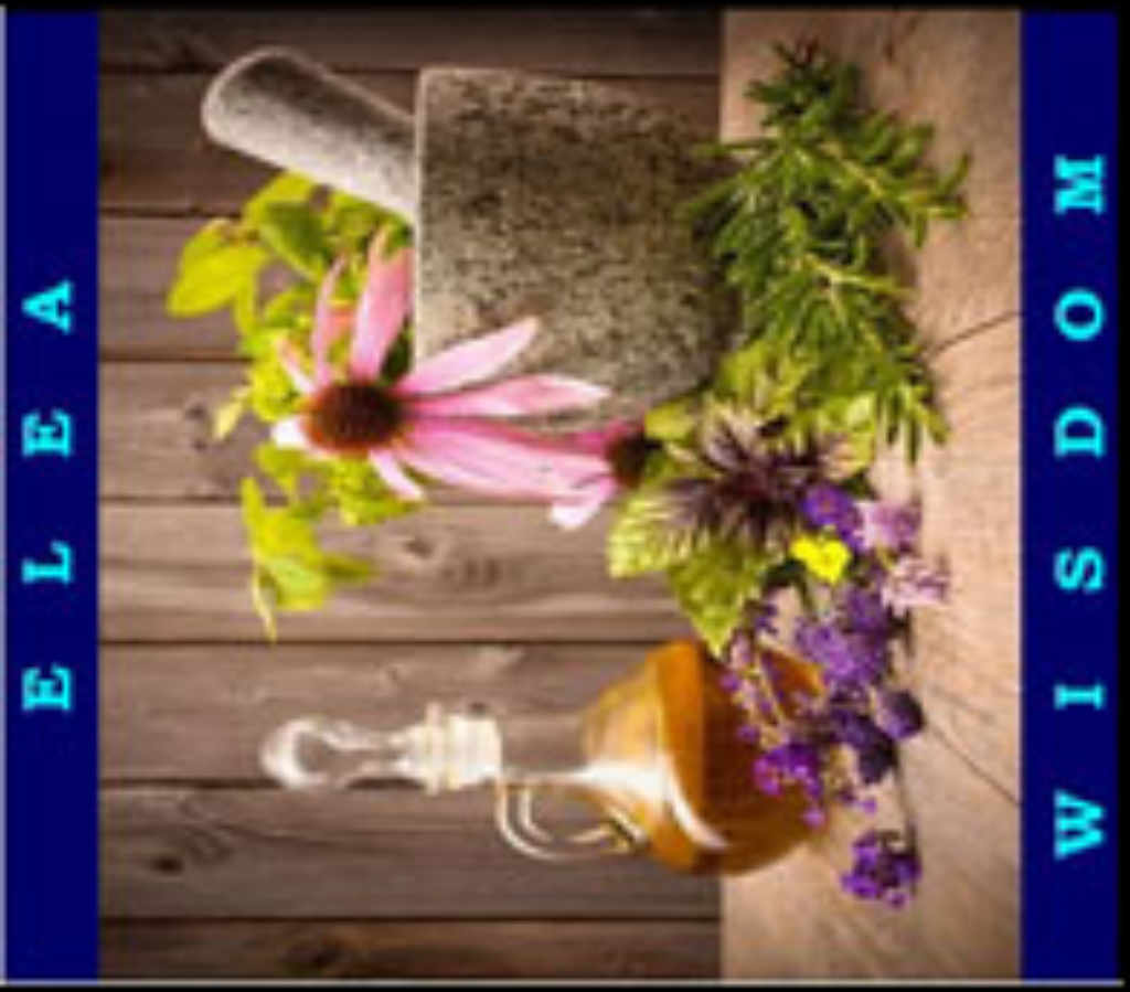 Професионален курс по ароматерапия